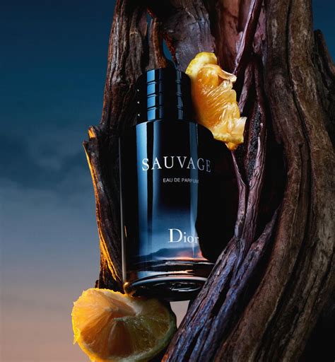 духи dior sauvage женские|dior sauvage vanilla.